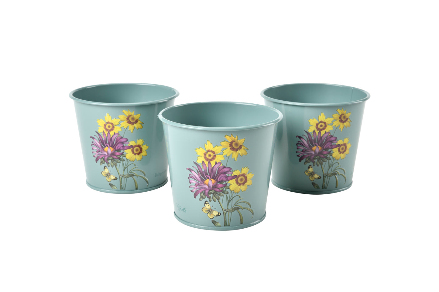 Asters urte potter (Herb pots)