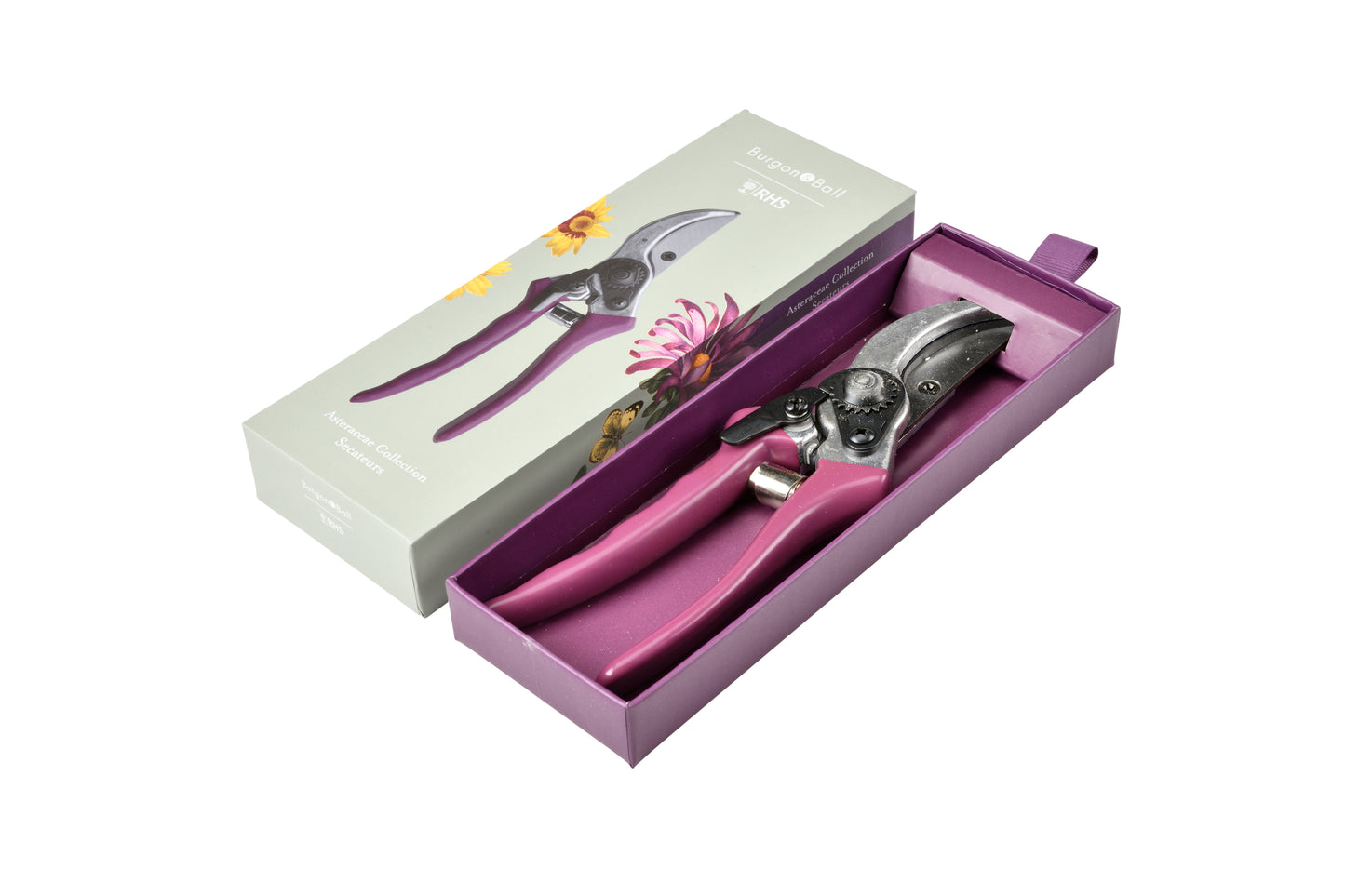 Asters: Hagesaks (Secateurs)