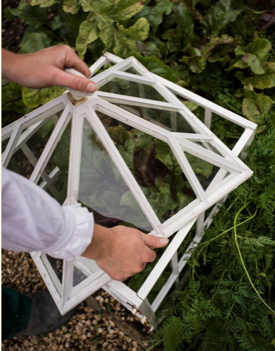 CC Victorian Square Cloche