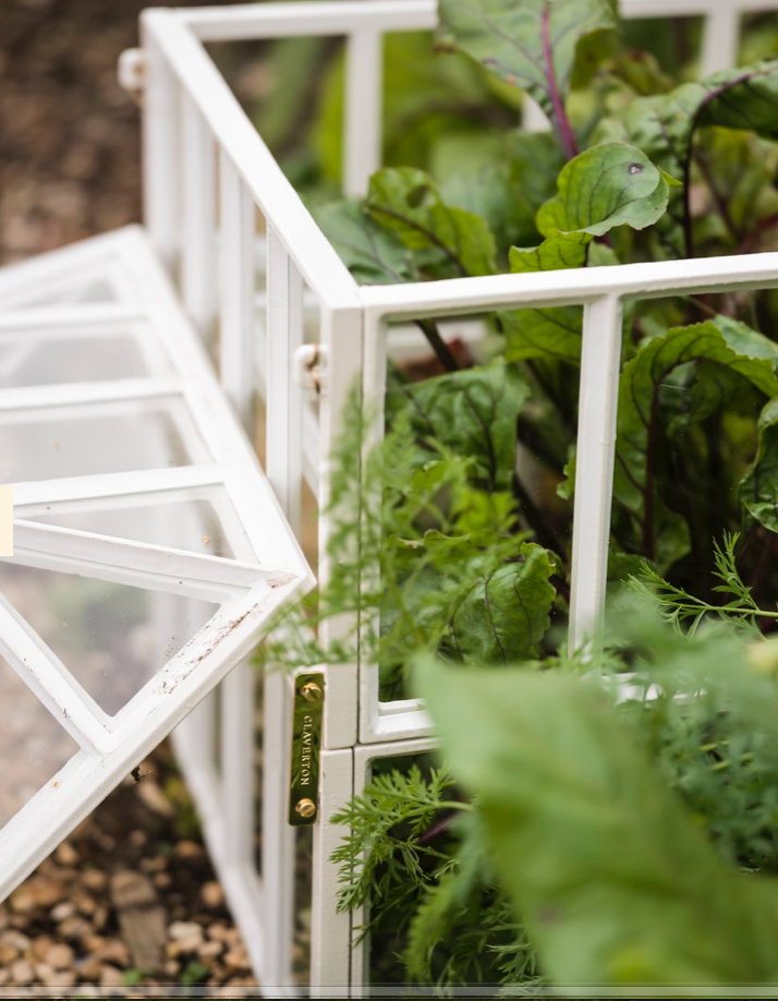 CC Victorian Square Cloche Extension