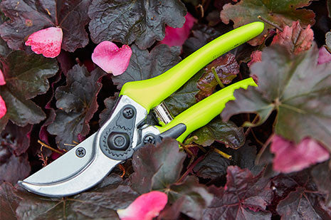 Sideblad sekatør (Bypass Secateur)