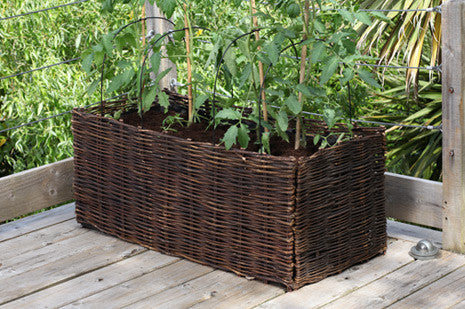 Dekningstøtte (Cane and cover supports)