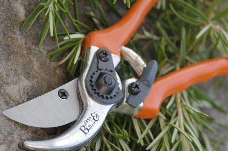 Klipping og Kutting (Cutting and Lopping)