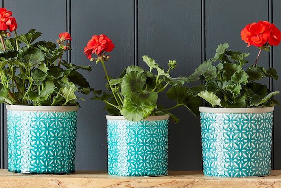 Plantepotter (Indoor Plant Pots & Vases)