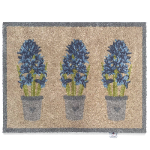 HR F Hyacinth 1
