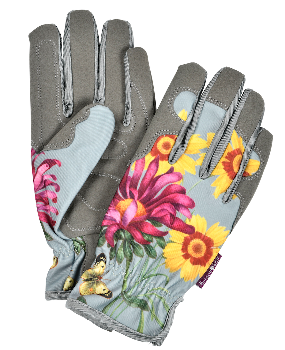 Asters hansker