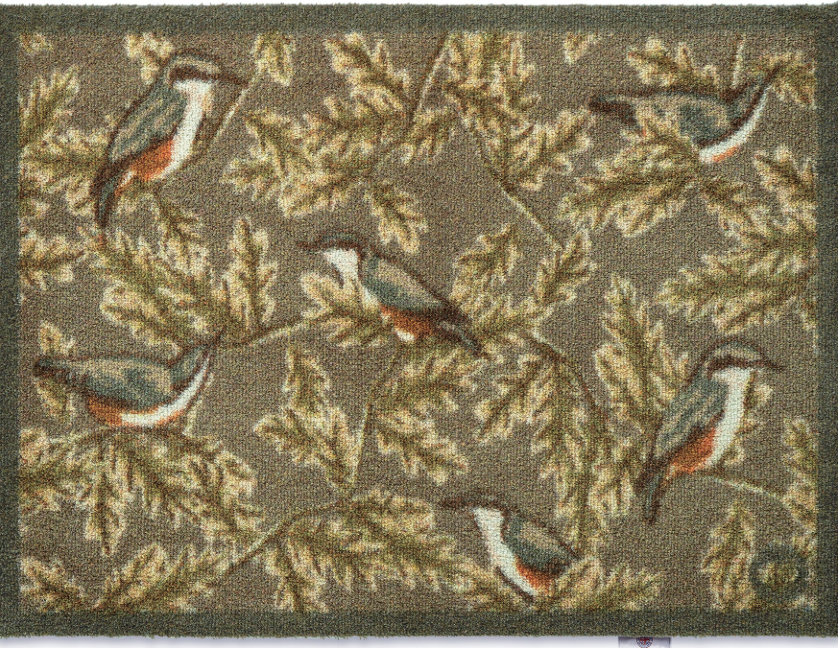 HR A Nuthatch 1