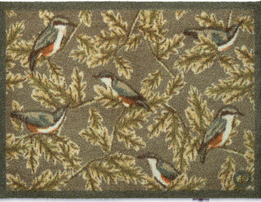 HR A Nuthatch 1