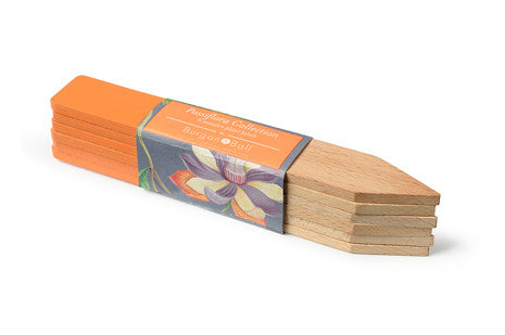 Orange merkepinner (Passiflora plant labels)