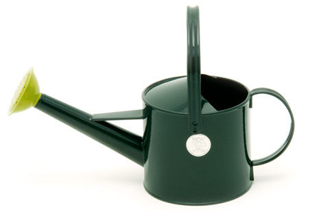 Vannkanne - grønn (Watering Can - 1 Litre Green)