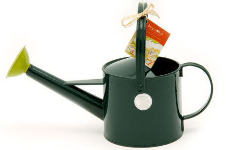 Liten vannkanne (Children's Watering Can)