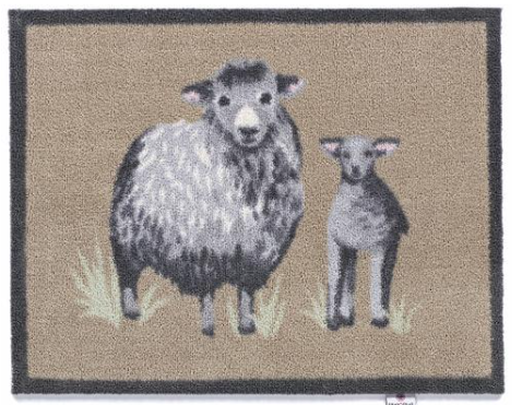 HR A Sheep 1