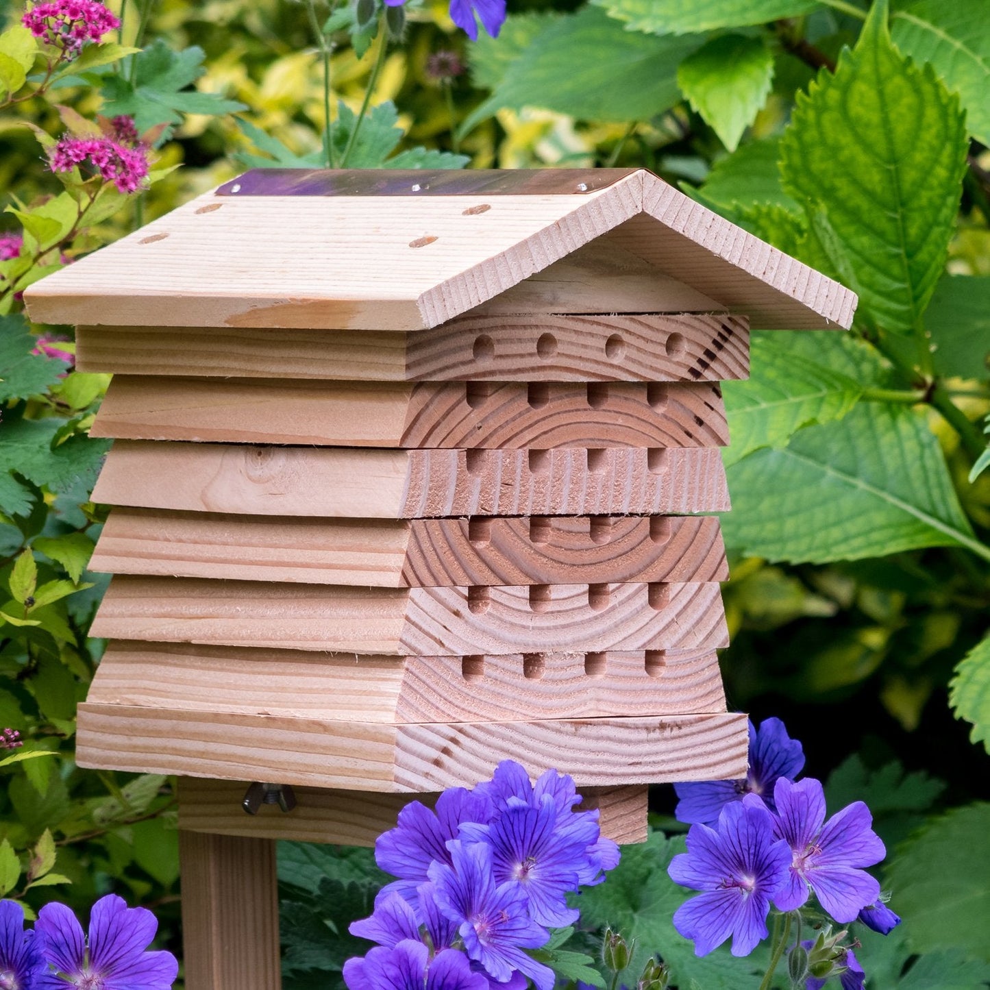 WW Mini bikube (Solitary bee hive)